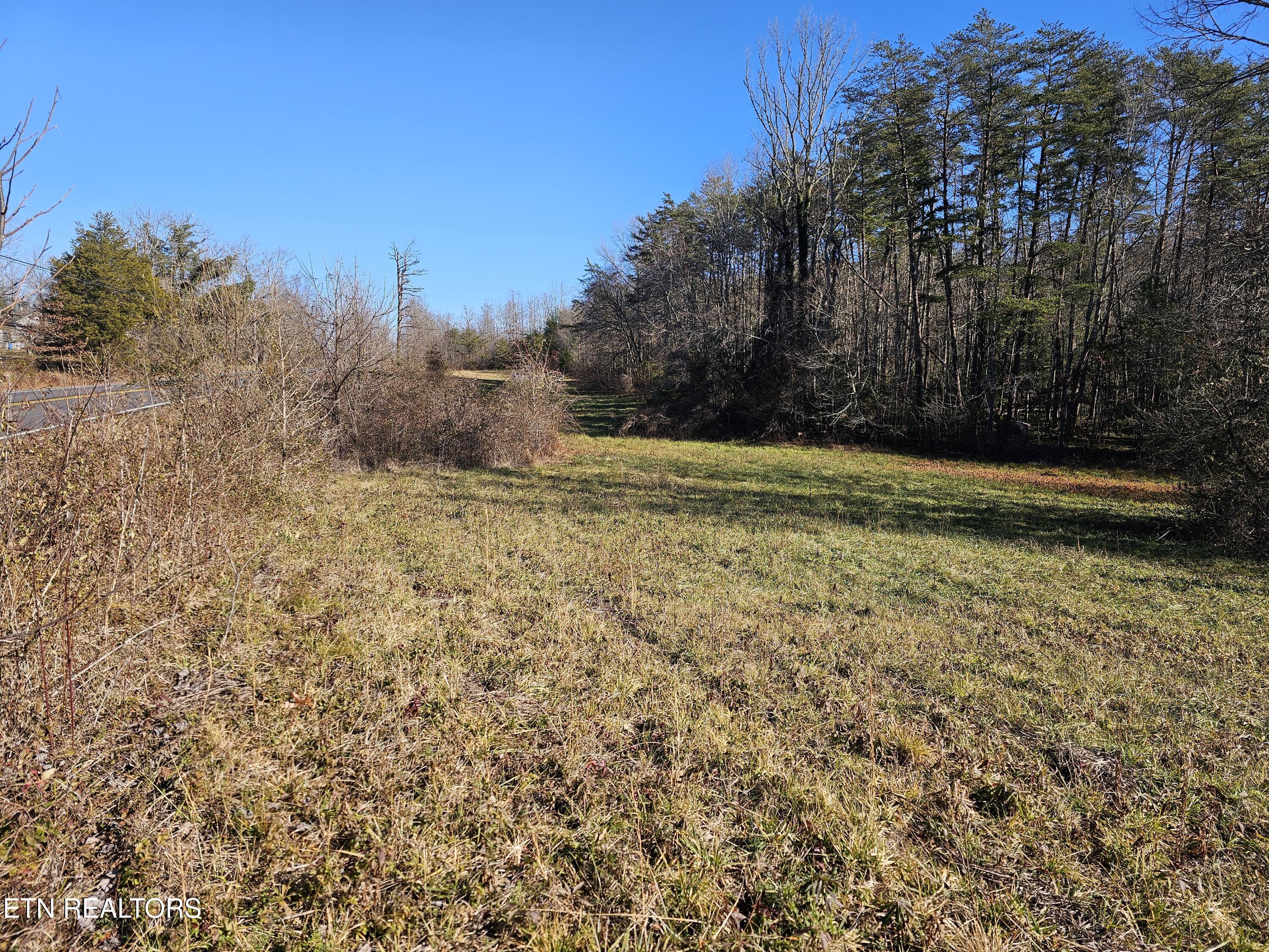 Genesis Road Lancing, TN 37770 - Photo 6 of 58 20251219_124841