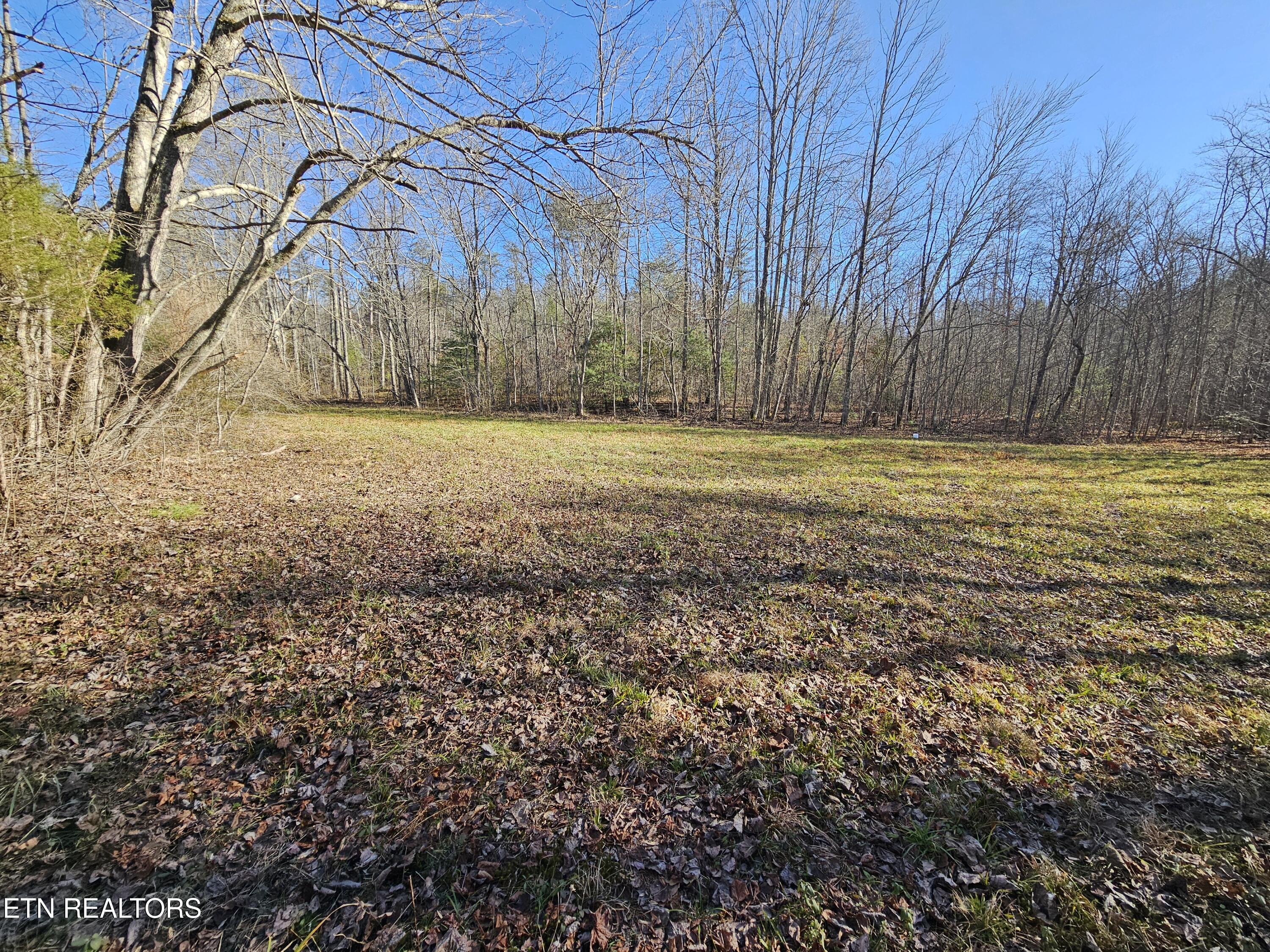 Genesis Road Lancing, TN 37770 - Photo 7 of 58 20251219_125211