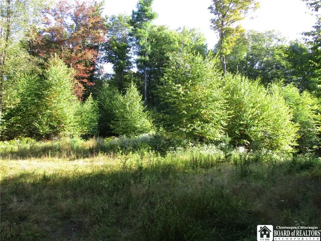 $109,000 | 0 County Road 5, Bolivar, NY 14715