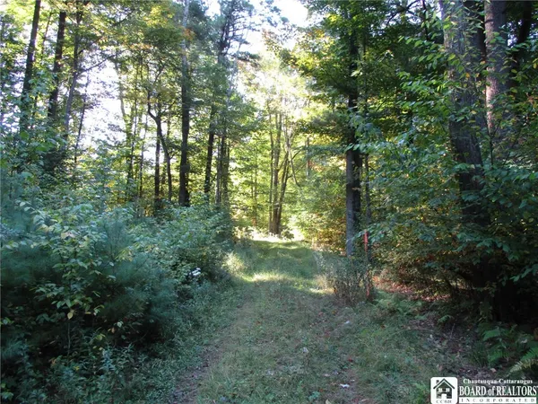 $109,000 | 0 County Road 5, Bolivar, NY 14715