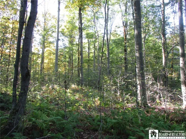 $109,000 | 0 County Road 5, Bolivar, NY 14715