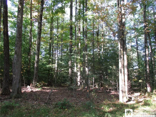 $109,000 | 0 County Road 5, Bolivar, NY 14715