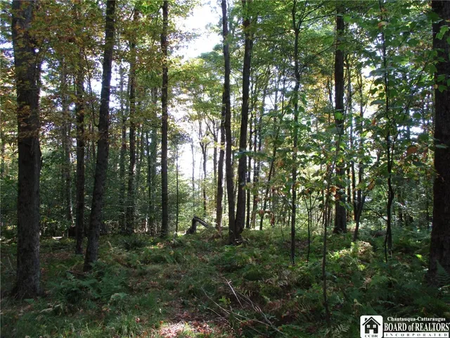 $109,000 | 0 County Road 5, Bolivar, NY 14715