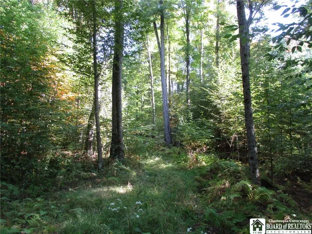 $109,000 | 0 County Road 5, Bolivar, NY 14715
