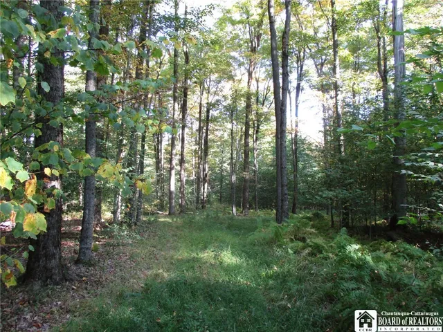 $109,000 | 0 County Road 5, Bolivar, NY 14715