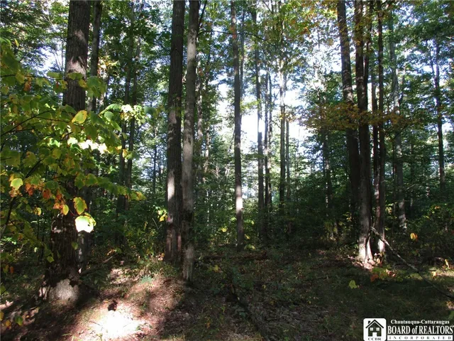 $109,000 | 0 County Road 5, Bolivar, NY 14715