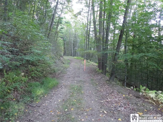 $109,000 | 0 County Road 5, Bolivar, NY 14715