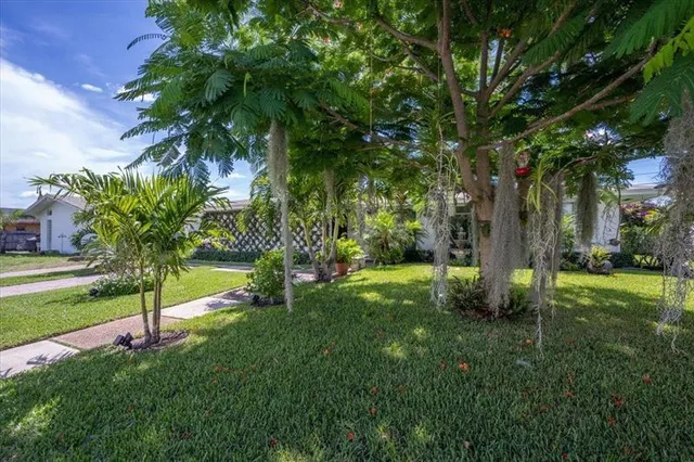 a view of a backyard with a garden