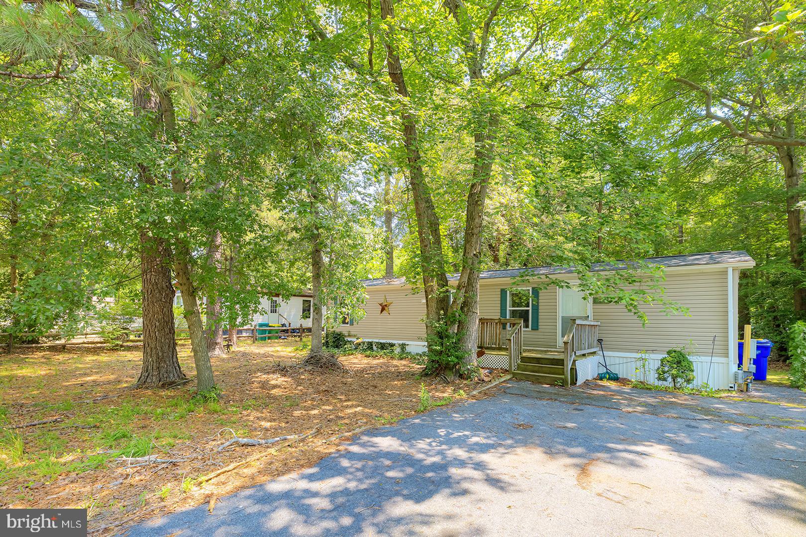 a view of a house with backyard and a tree