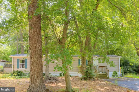 front view of a house with a tree