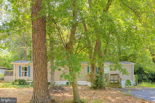 front view of a house with a tree