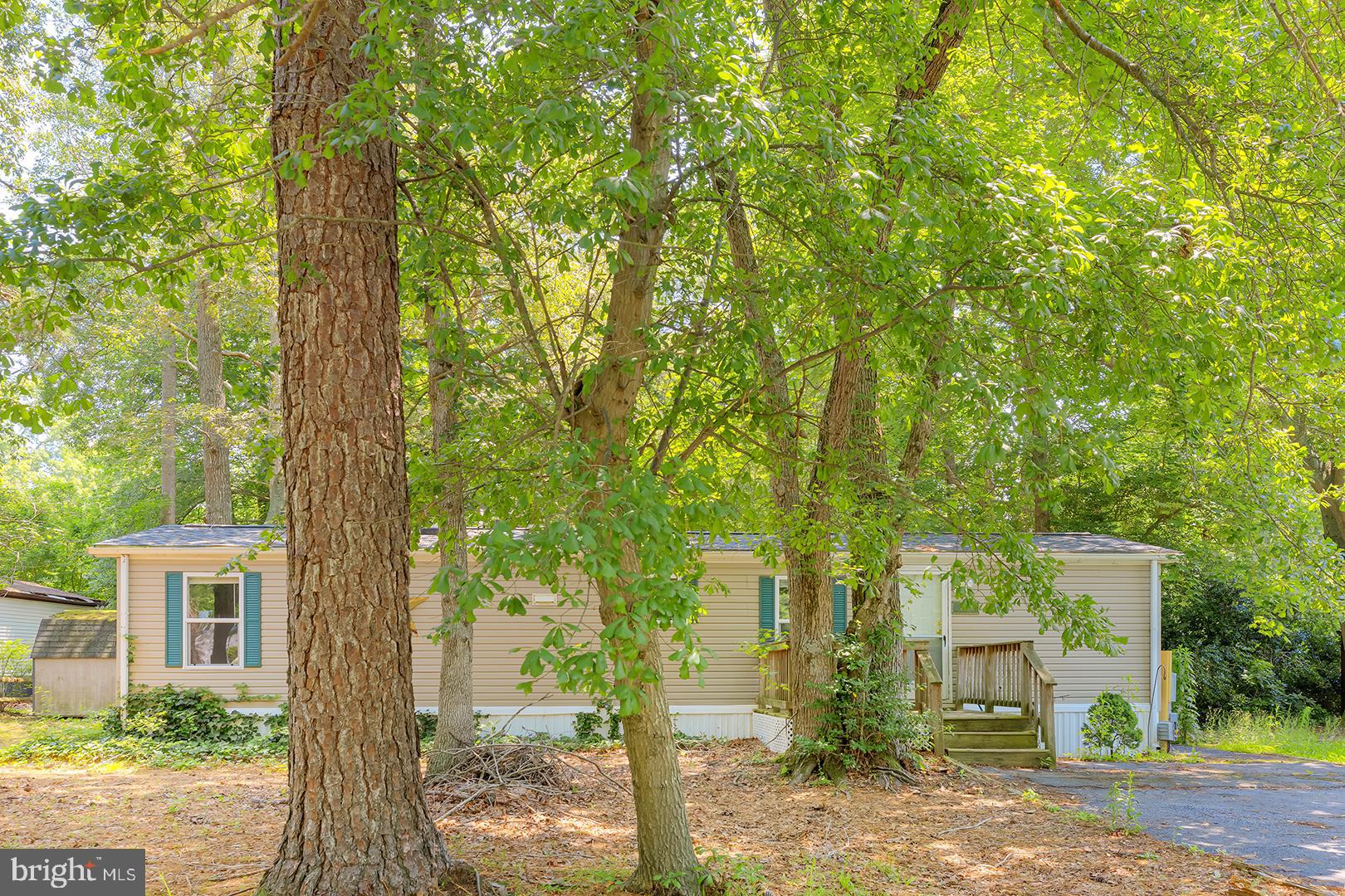 24119 Celtic Street Georgetown, DE 19947 - Photo 3 of 45 front view of a house with a tree