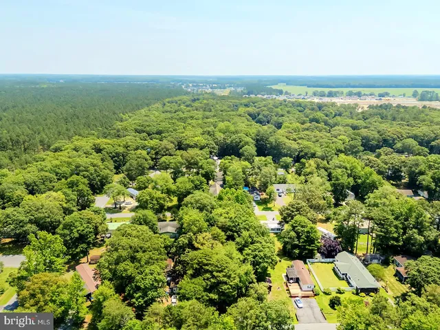 an aerial view of residential houses with outdoor space and trees
