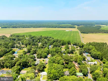an aerial view of ocean and trees