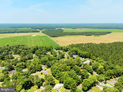 an aerial view of ocean and trees