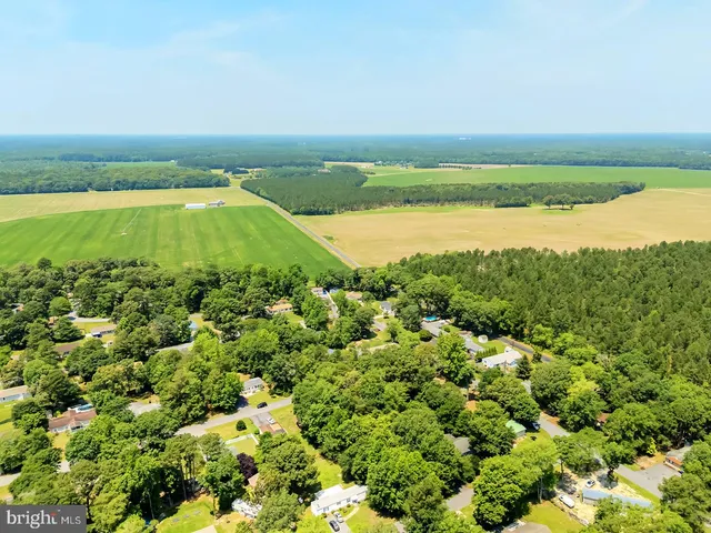an aerial view of ocean and trees
