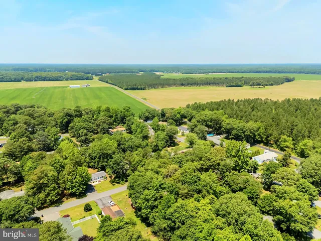 an aerial view of ocean and trees