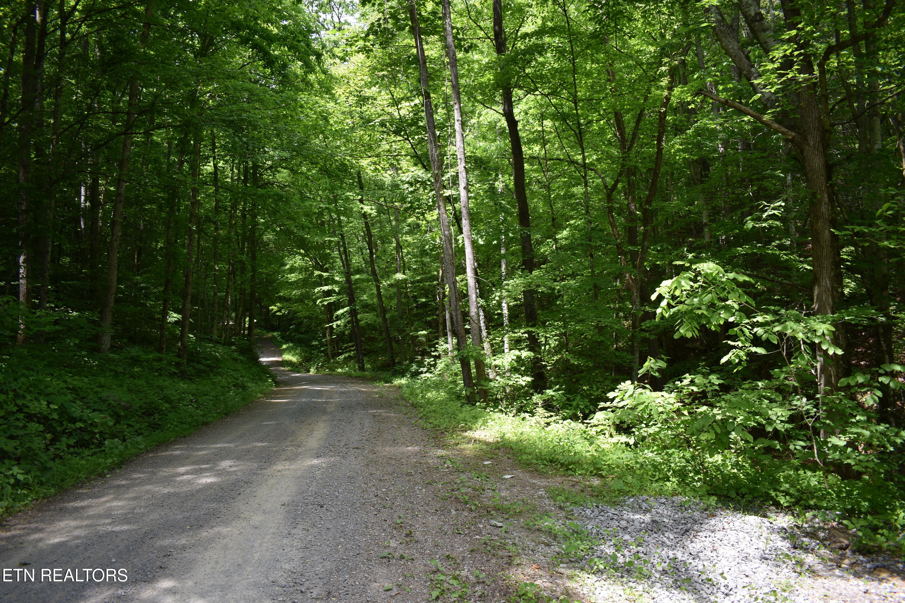 Shady Valley Road Rose Hill, VA 24281 - Photo 1 of 28 DSC_0001