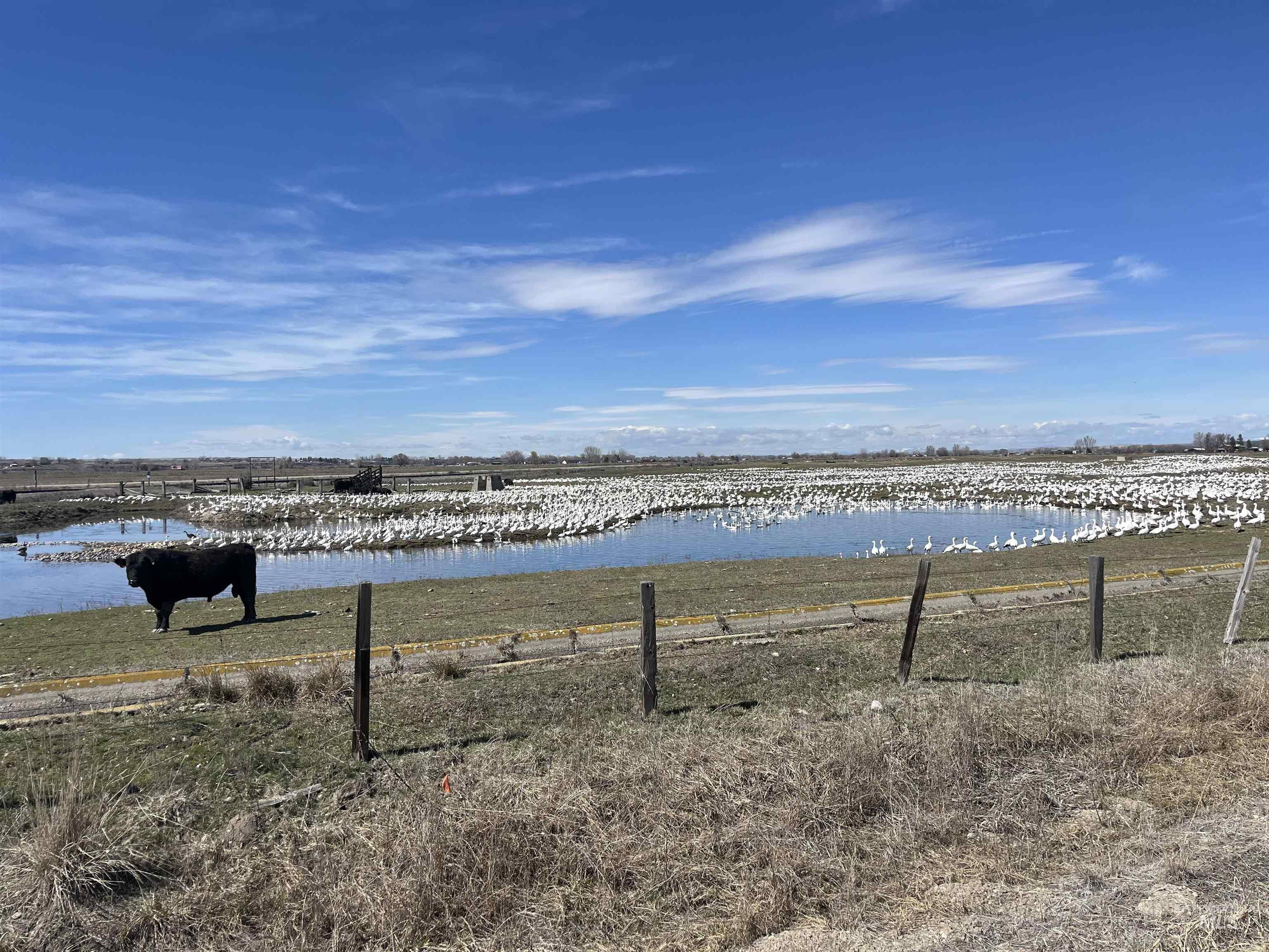 1275 Little Rock Road Emmett, ID 83617 - Photo 13 of 14 Water view