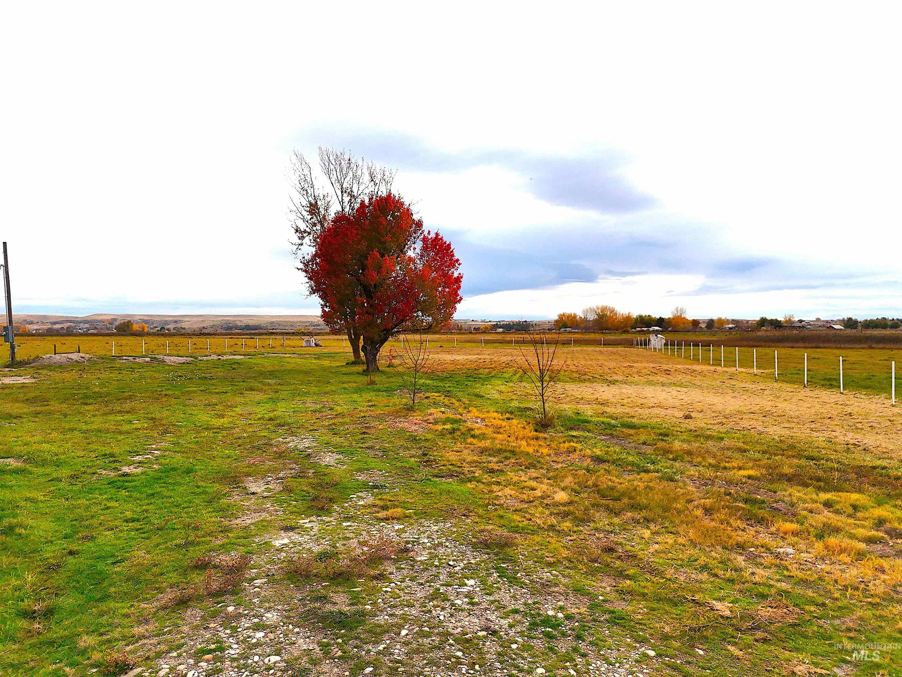 1275 Little Rock Road Emmett, ID 83617 - Photo 5 of 14 View of yard with a rural view
