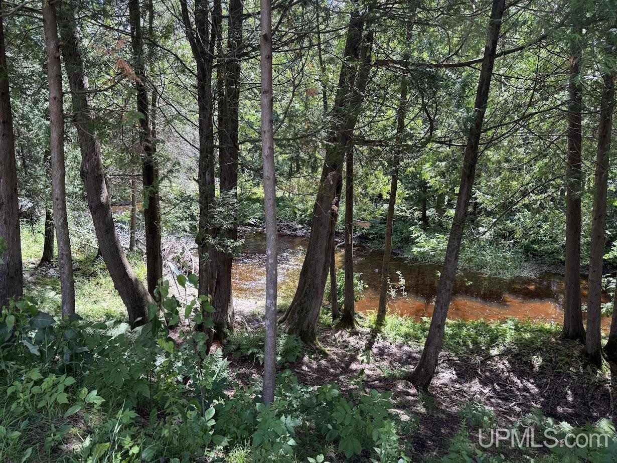 5935 Brampton 27.5 Road Gladstone, MI 49837 - Photo 39 of 45