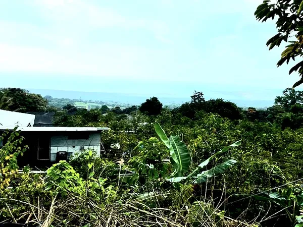 $285,000 | 197 Lot, Captain Cook, HI 96704