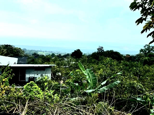 $325,000 | 197 Lot, Captain Cook, HI 96704