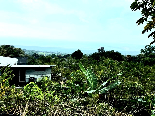 197 Lot Captain Cook, HI 96704 - Photo 3 of 6