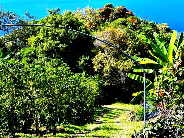 $285,000 | 197 Lot, Captain Cook, HI 96704