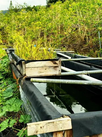 $325,000 | 197 Lot, Captain Cook, HI 96704