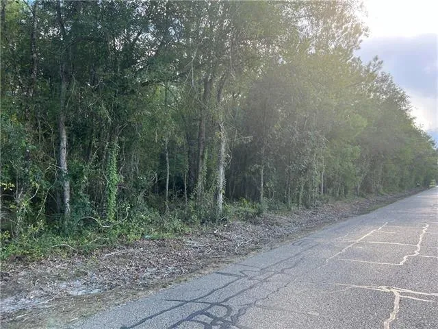 $215,000 | Tbd Hutchinson Cemetary Road, Albany, LA 70711