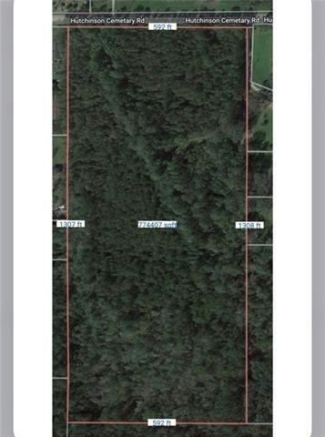 Tbd Hutchinson Cemetary Road Albany, LA 70711 - Photo 2 of 2