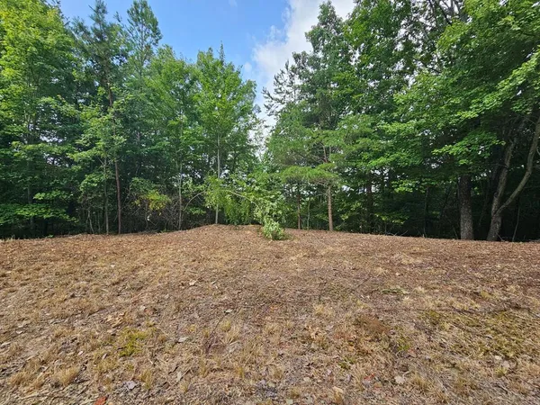 a view of a backyard of a house