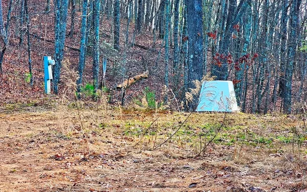 a view of a yard with a trees