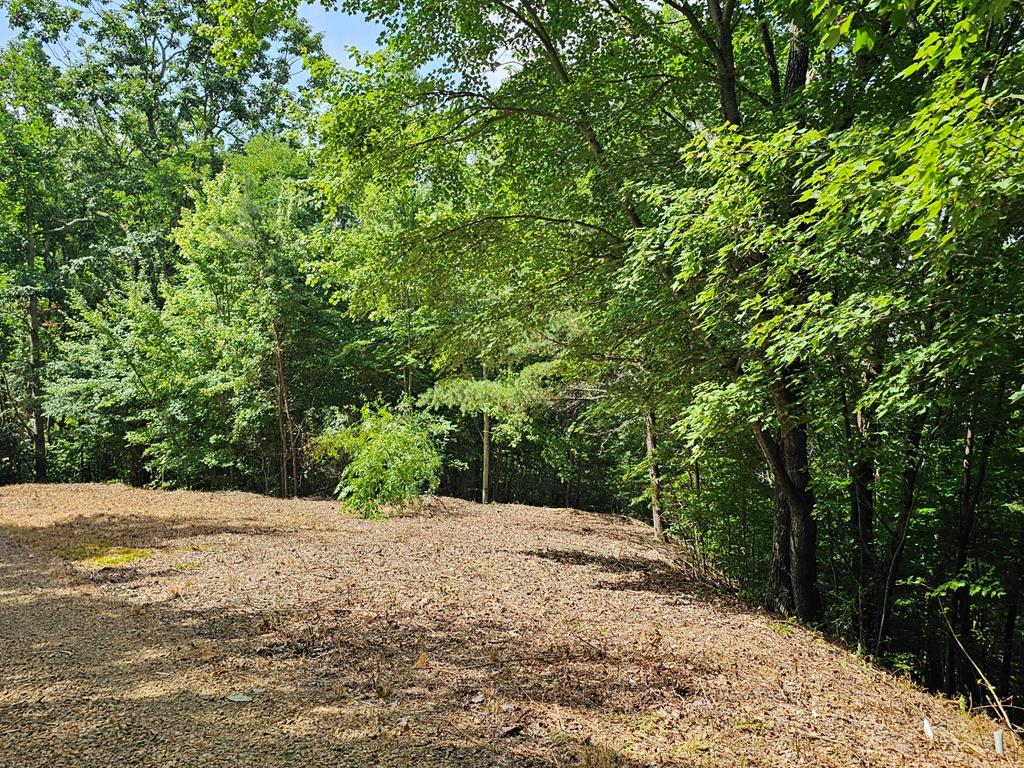 270 Cornerstone Murphy, NC 28906 - Photo 4 of 14