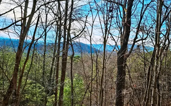 a view of outdoor space