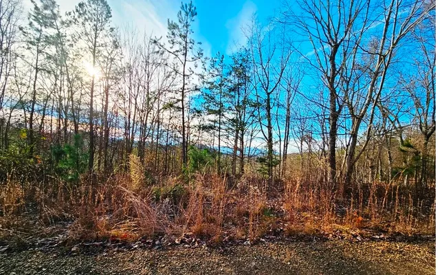 $27,900 | 270 Cornerstone, Murphy, NC 28906