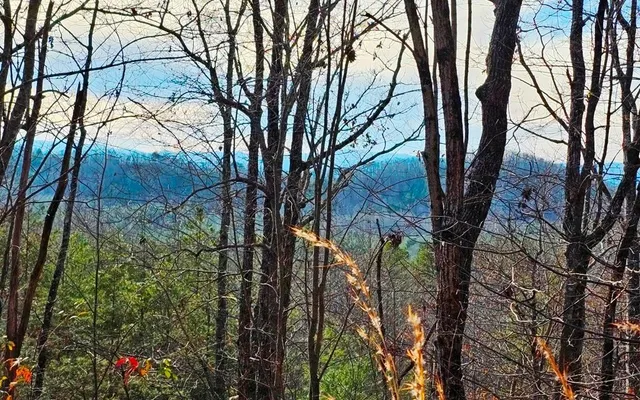 $27,900 | 270 Cornerstone, Murphy, NC 28906