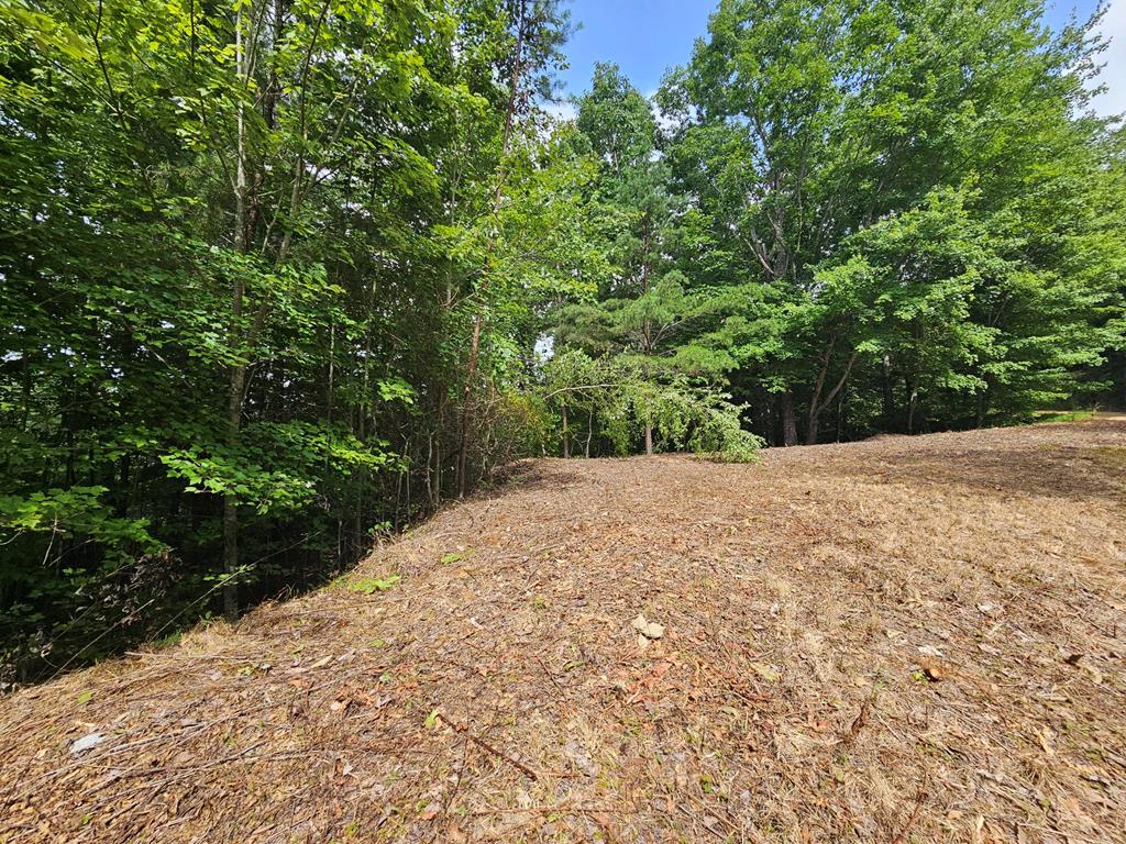 270 Cornerstone Murphy, NC 28906 - Photo 9 of 14 Additional View