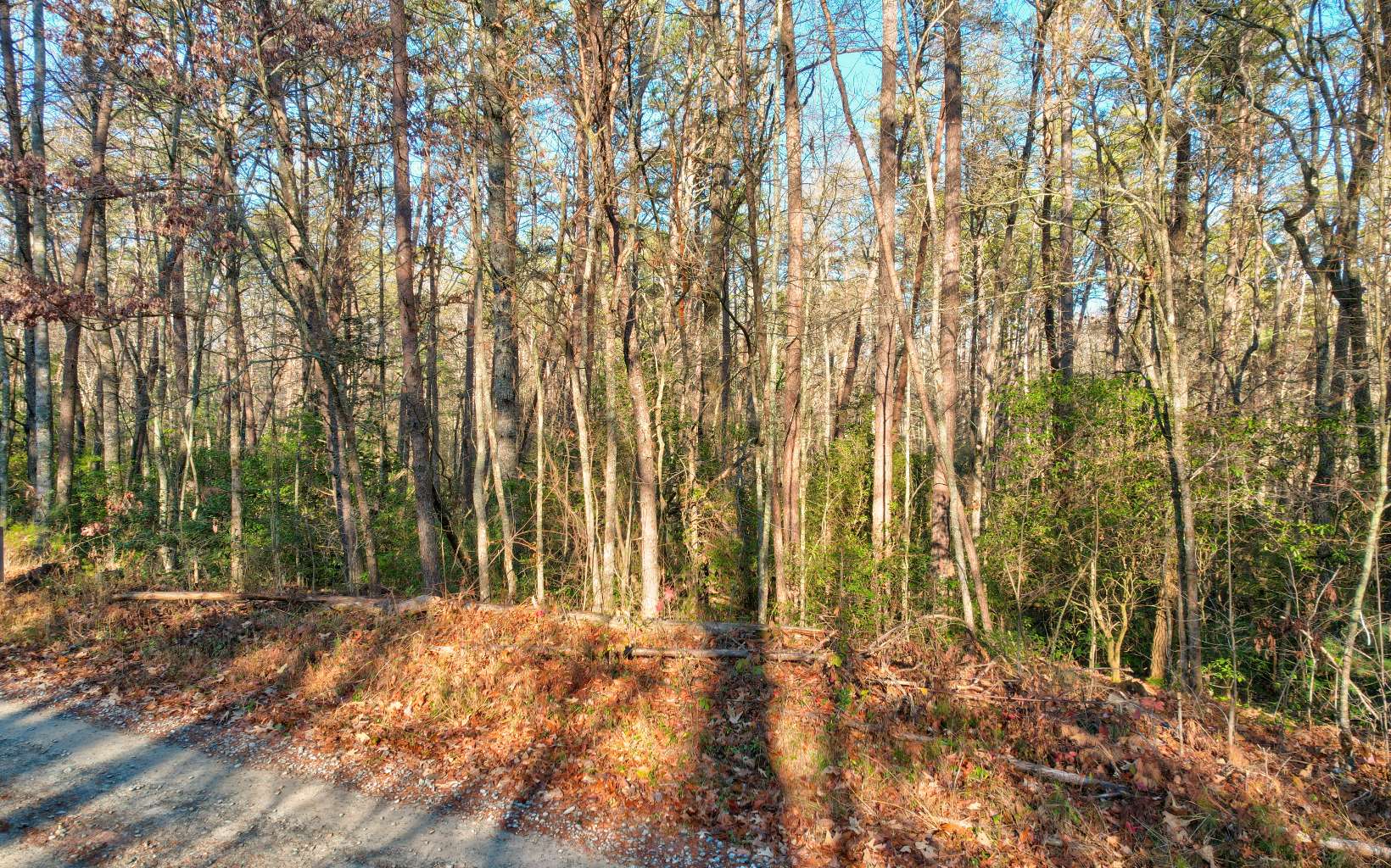 9.71 Deer Watch Lane Blue Ridge, GA 30513 - Photo 14 of 16 Additional View