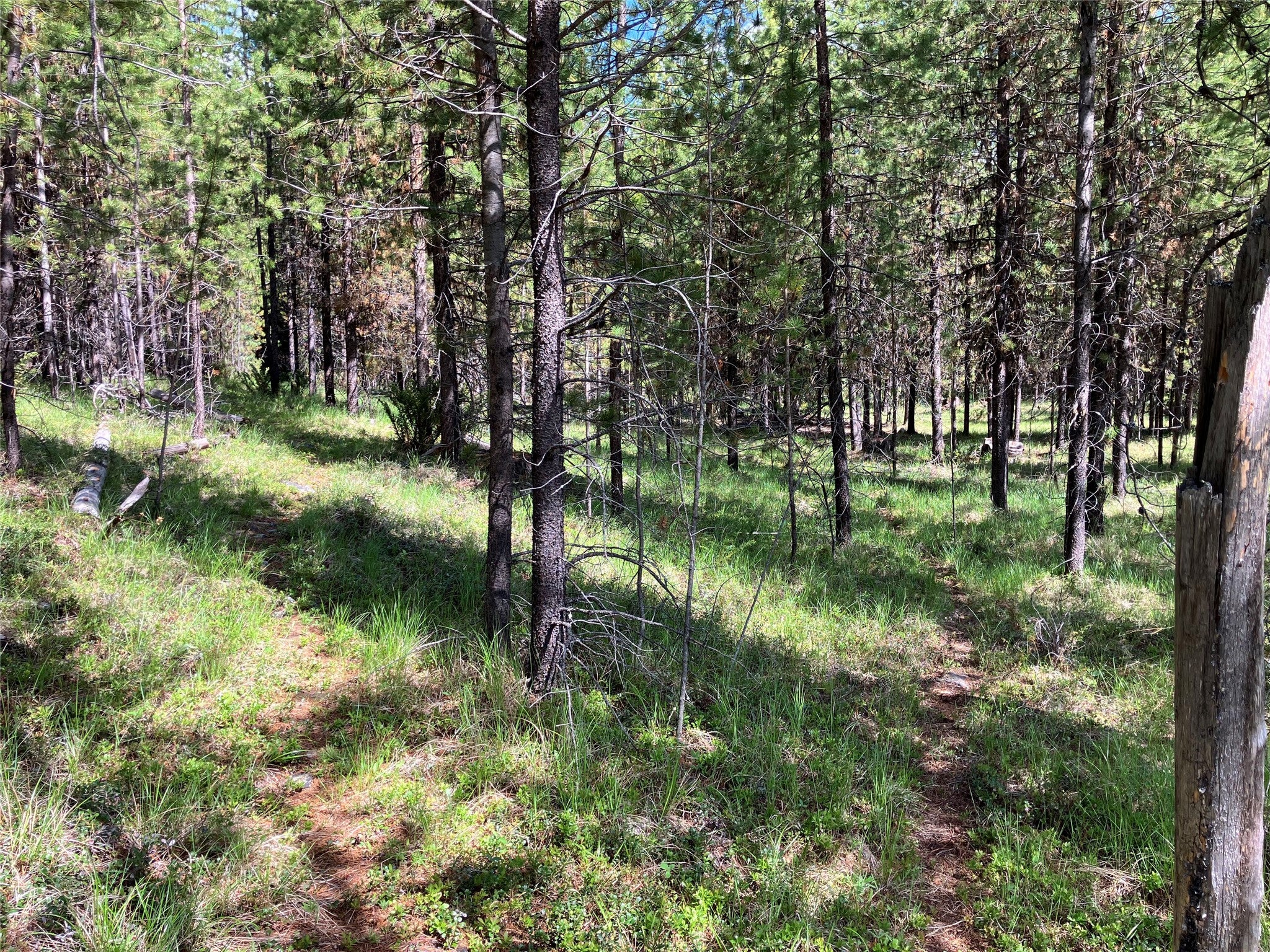 1606 North Fork Yaak Road Troy, MT 59935 - Photo 82 of 98 Gallery Image 82
