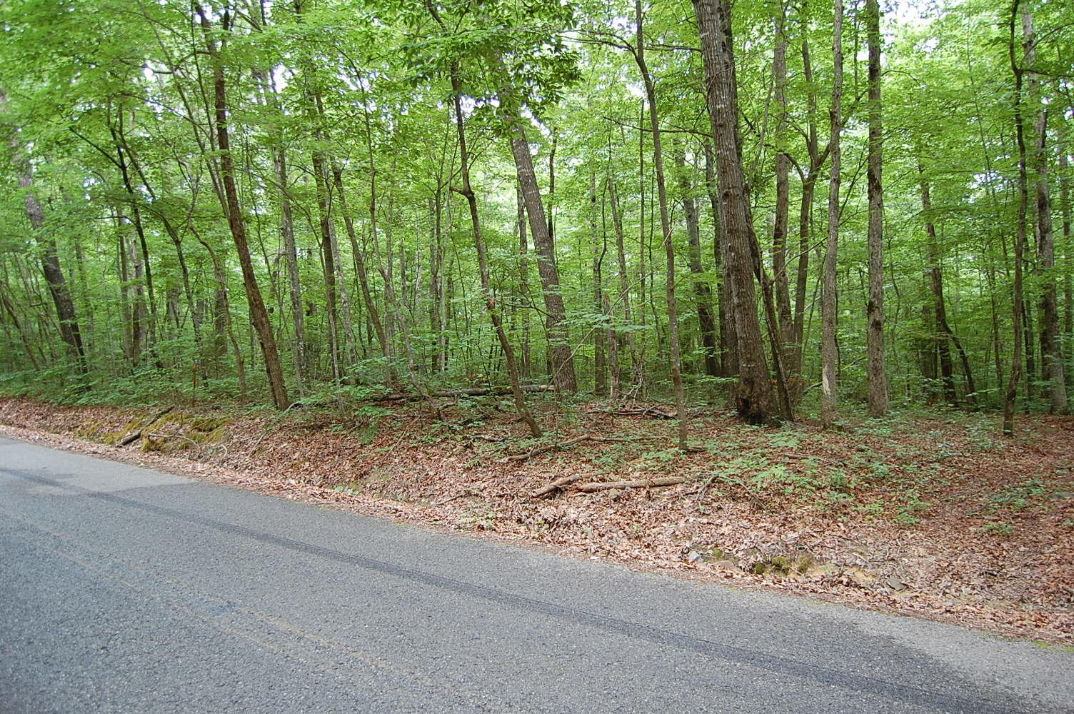 11 Flat Mountain Road Dunlap, TN 37327 - Photo 5 of 24