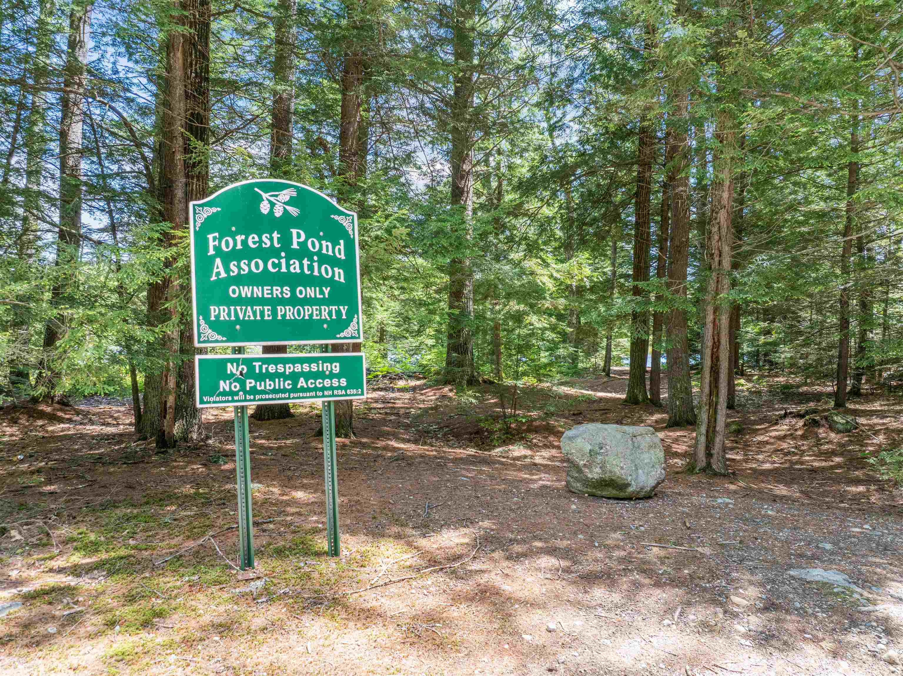 47 Forest Pond Road New Hampton, NH 03256 - Photo 32 of 60