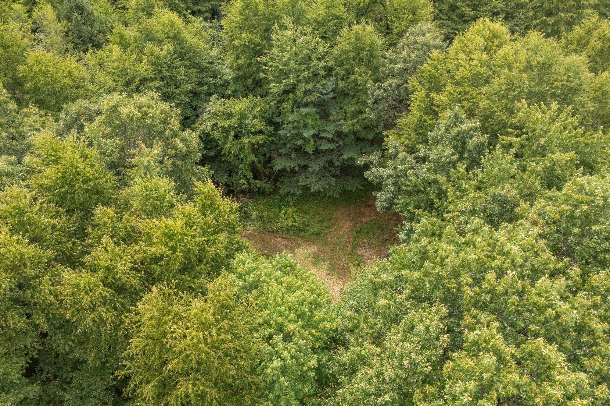 276 Middle Road Boxborough, MA 01719 - Photo 9 of 12 Gallery Image 9