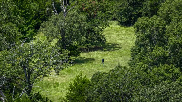 a view of a green yard
