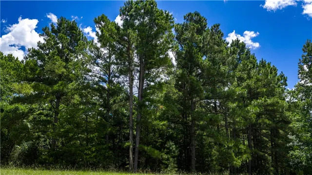 a backyard of a house with lots of green space