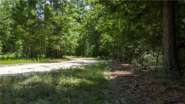 a view of outdoor space with trees all around
