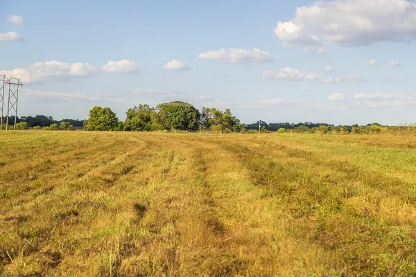 $198,835 | 4 South Rush Road, Archie, MO 64725