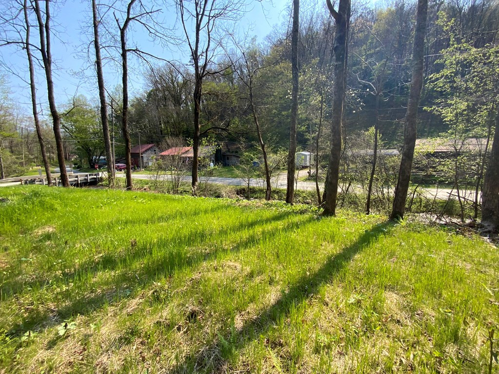 1000 Hyatt Creek Road Marble, NC 28905 - Photo 9 of 15