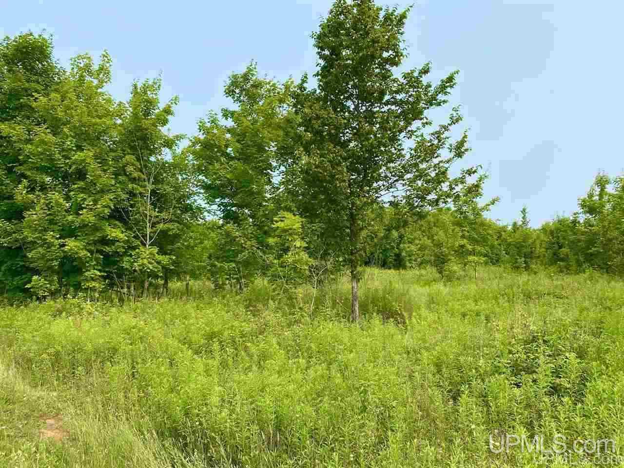 Tbd Southside Road Manistique, MI 49854 - Photo 1 of 36 Gallery Image 1